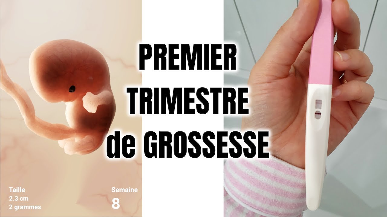 1ER TRIMESTRE DE GROSSESSE : SYMPTOMES, MES ANGOISSES, SANS tabou 😱 (fatigue 😴, nausées 🤢, douleurs)