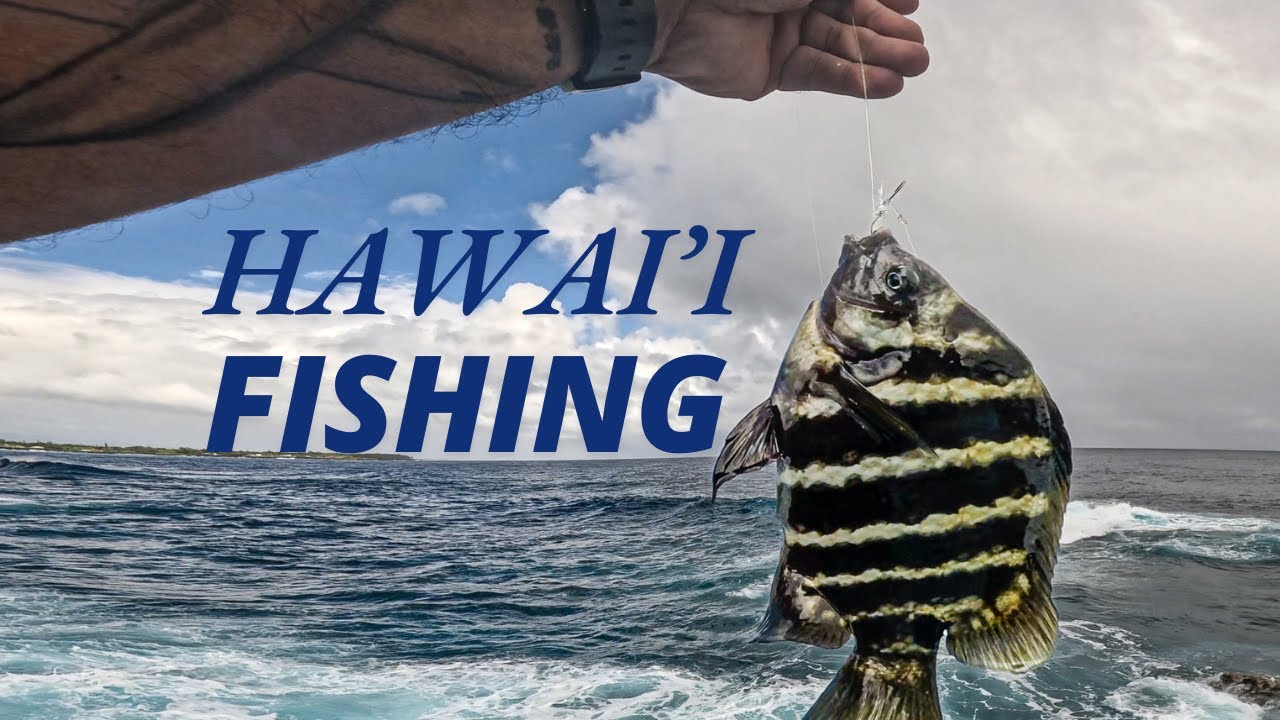 FISHING IN HAWAII  ep 5 CATCH AND COOK