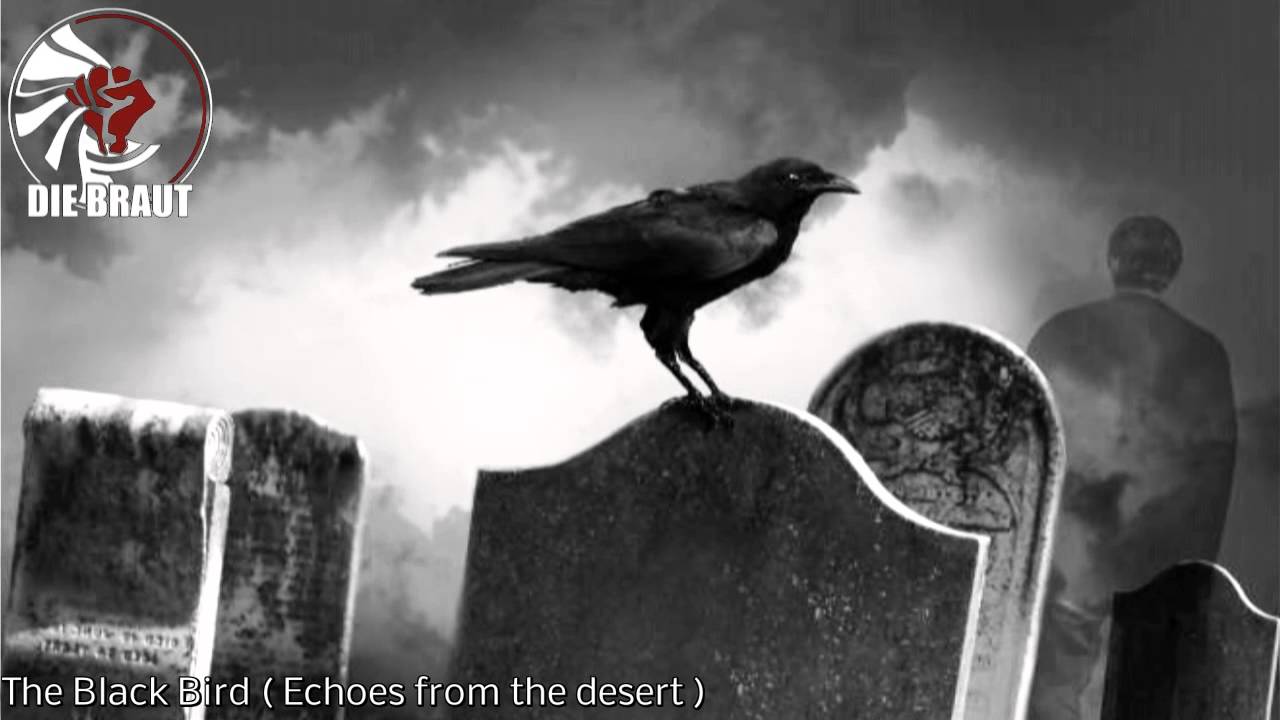Die Braut - The Black Bird ( Echoes from the desert )