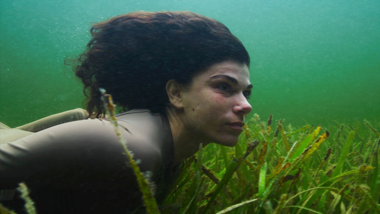 Finding Harry (Underwater Film)
