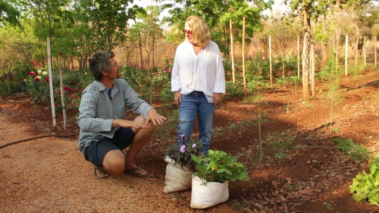 Grow Bags | The Easiest Way to garden in a Small Space