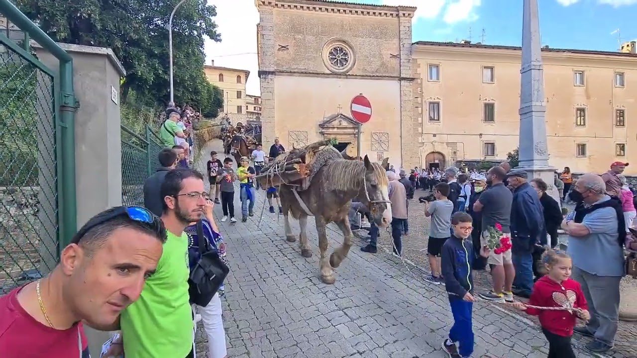 3_Festa della legna di S  Antonio  - Scanno (AQ) 2022  -   Sfilata dei muli