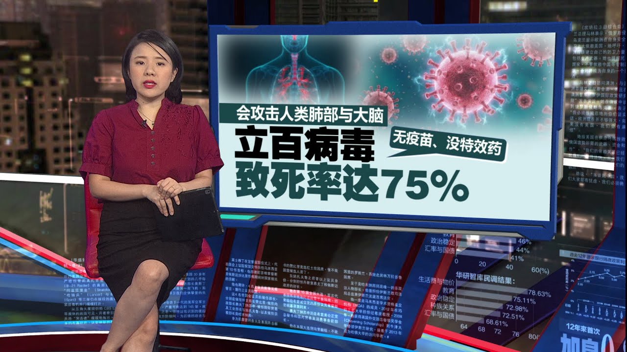 印度爆立百病毒   生饮椰枣汁引发疫情？ | 新闻报报看 28/01/2026