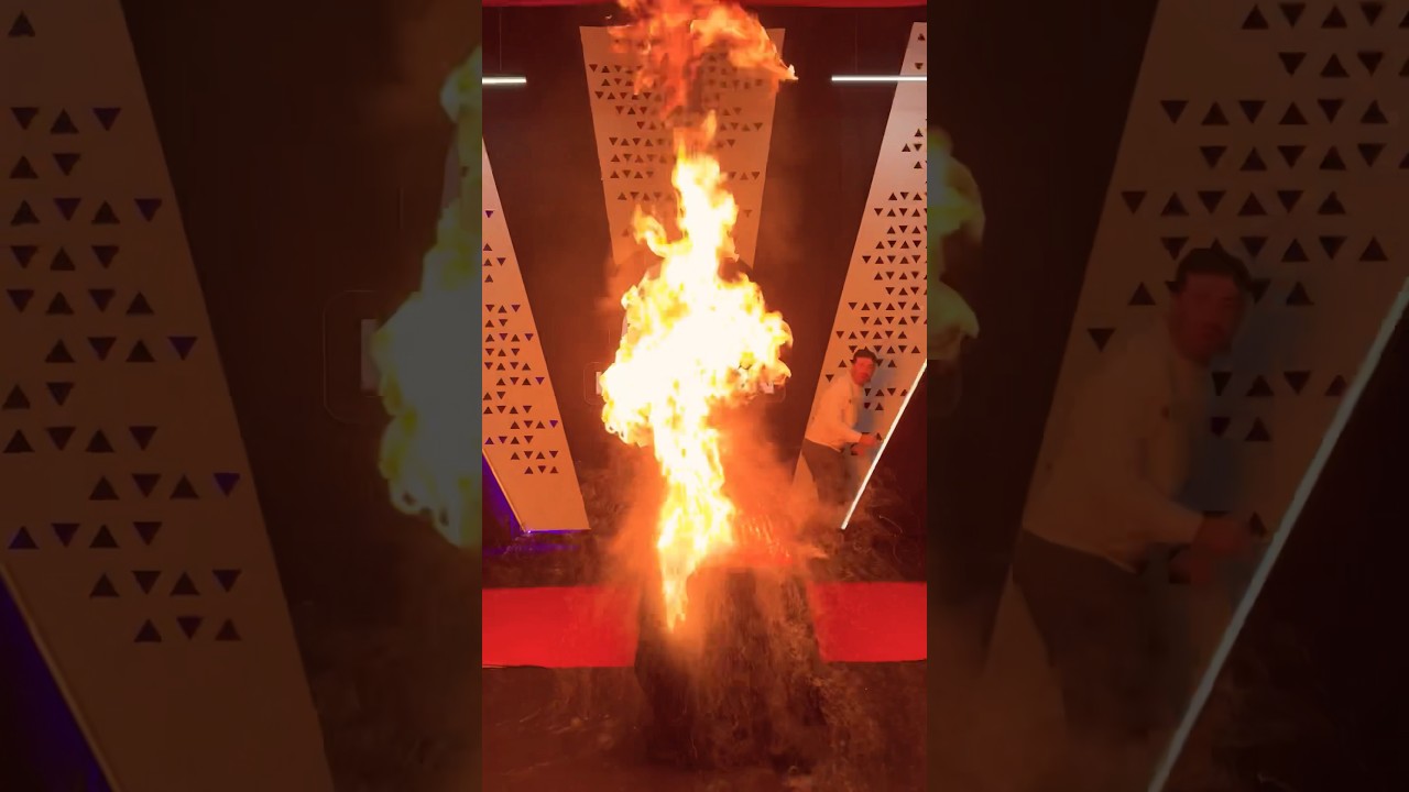 სტუდია გადავწვით! 🔥🫠