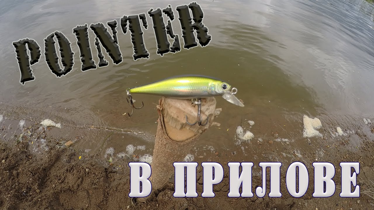 POINTER. ПРИМАНКА В ПРИЛОВЕ!!!!