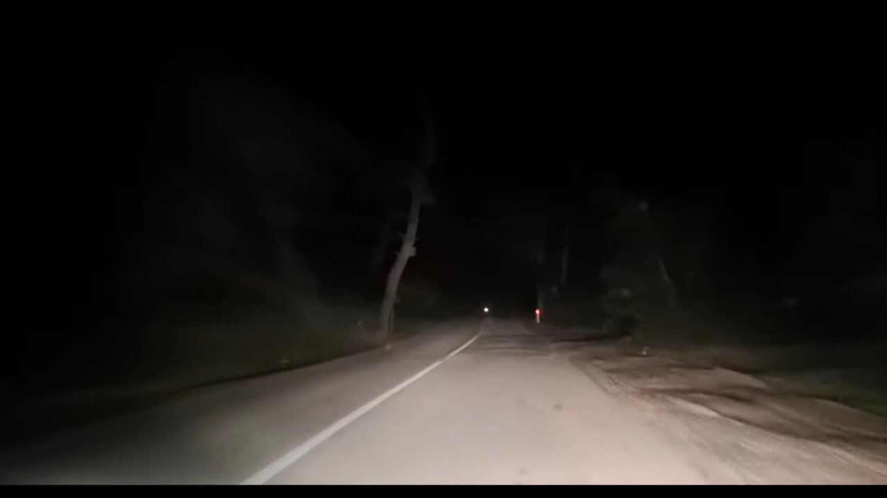 Driving in Karavasta Lagoon Park Divjake Albania 🇦🇱 #Albania #trending #lagoon #night #animals #pets