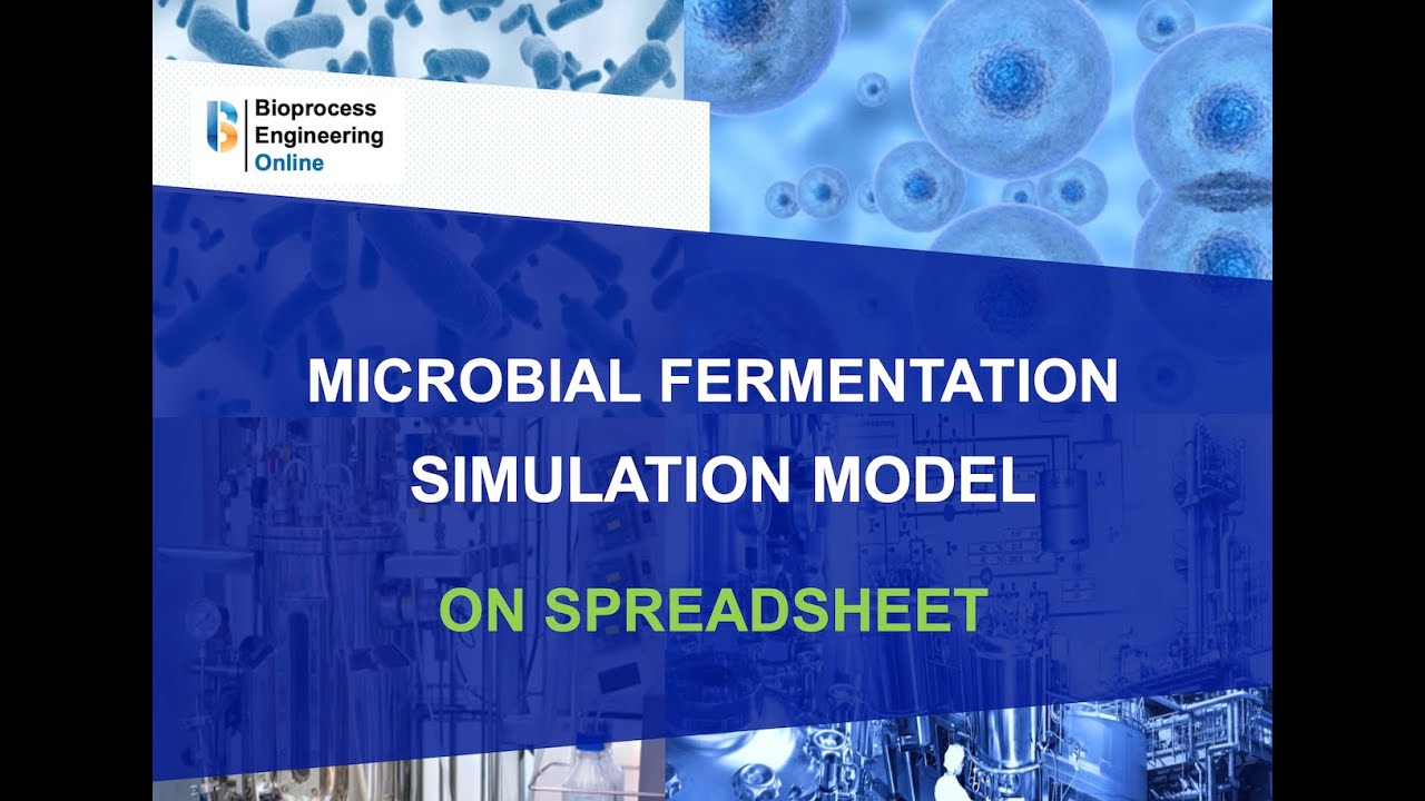 Microbial fermentation simulation model on spreadsheet