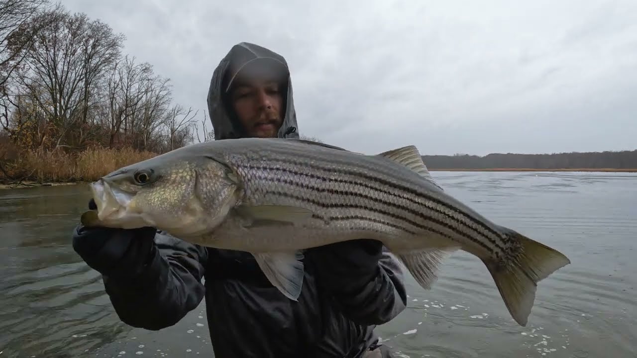 ICE COLD FINESSE FISHING FOR STRIPED BASS!