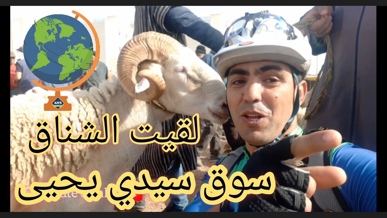 سوق الغنم #وجدة🇲🇦 #سيدي_يحيى