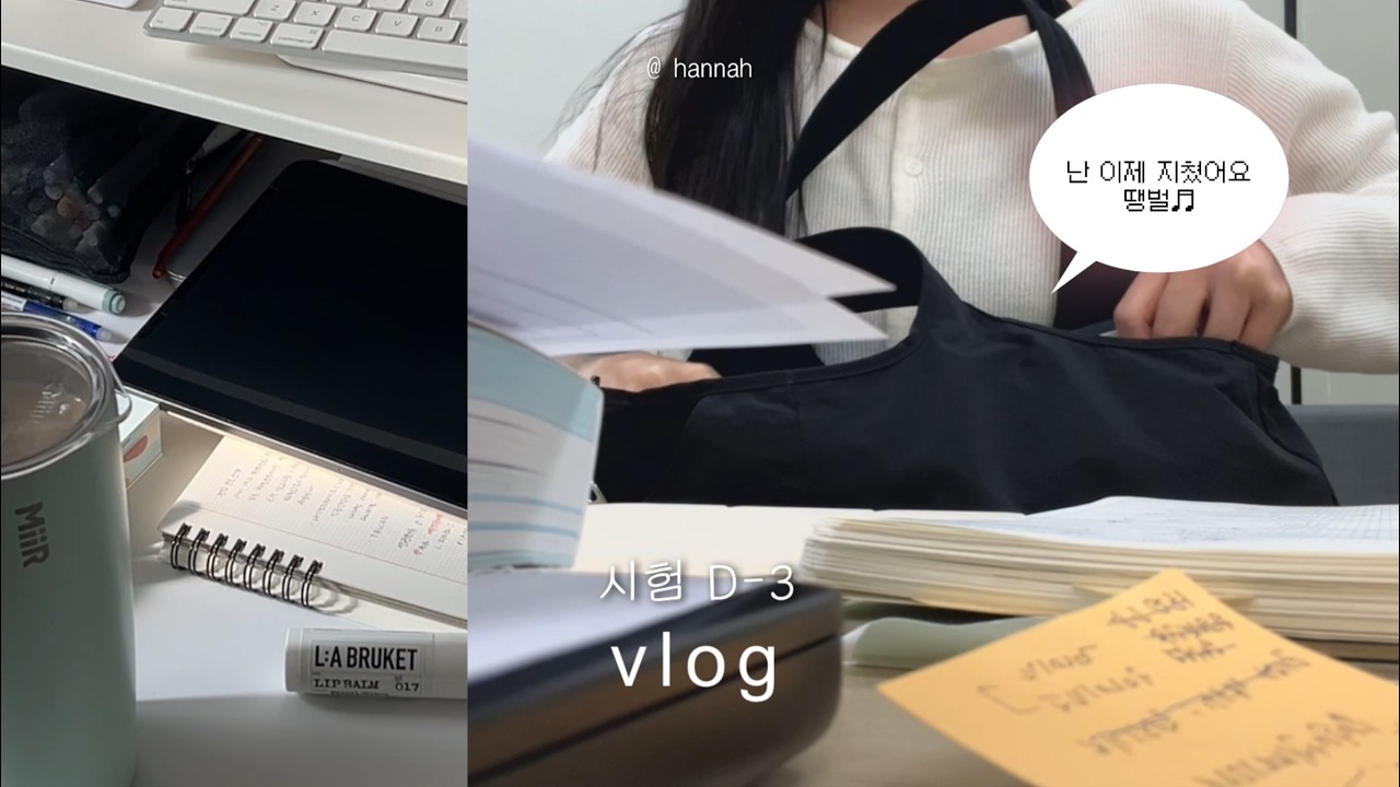vlog. ADsP 시험 3일 전 공부만 하는 브이로그