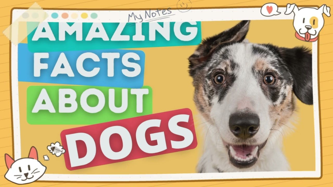 "Paws and Whiskers Chronicles: A Heartwarming Saga of Furry Tales”