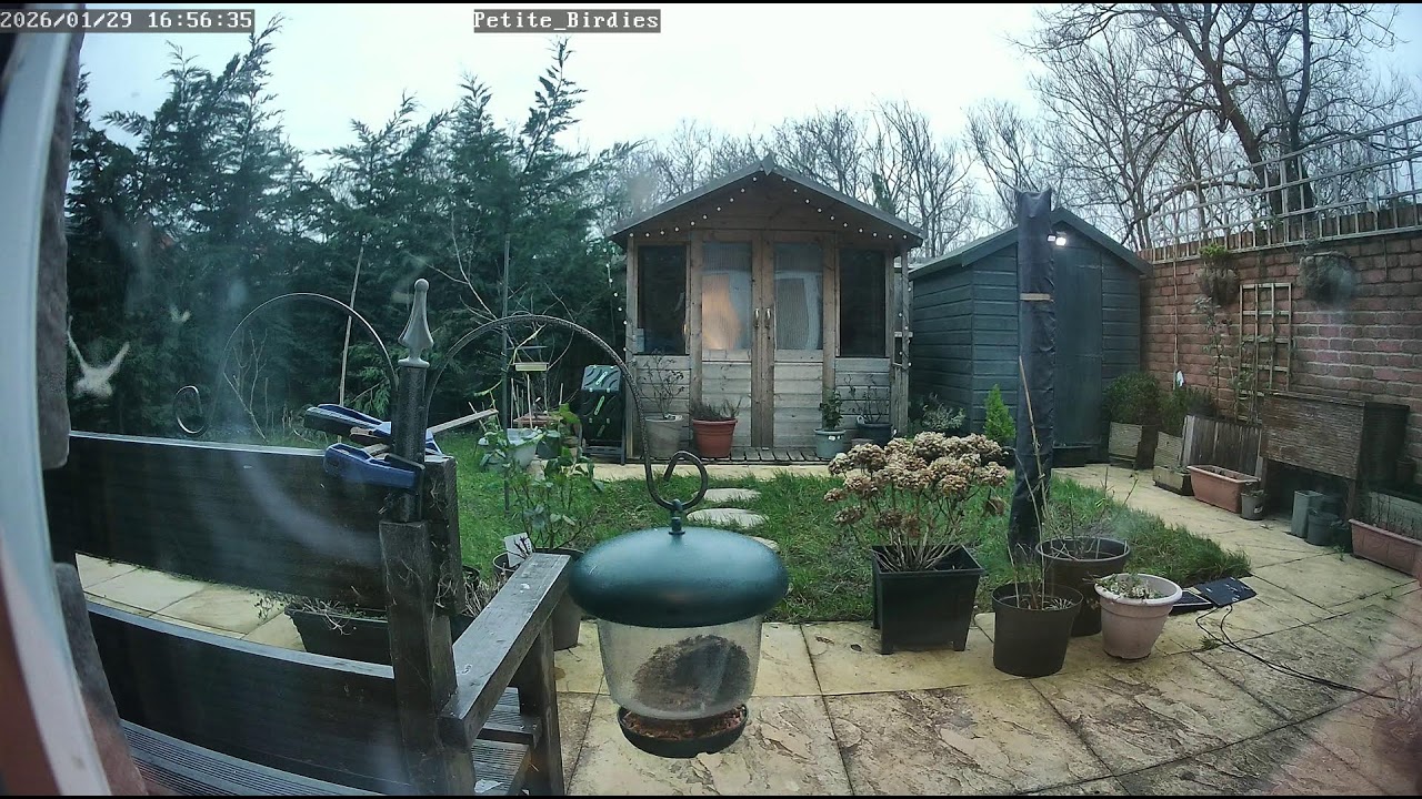 Live Stream Test Y18