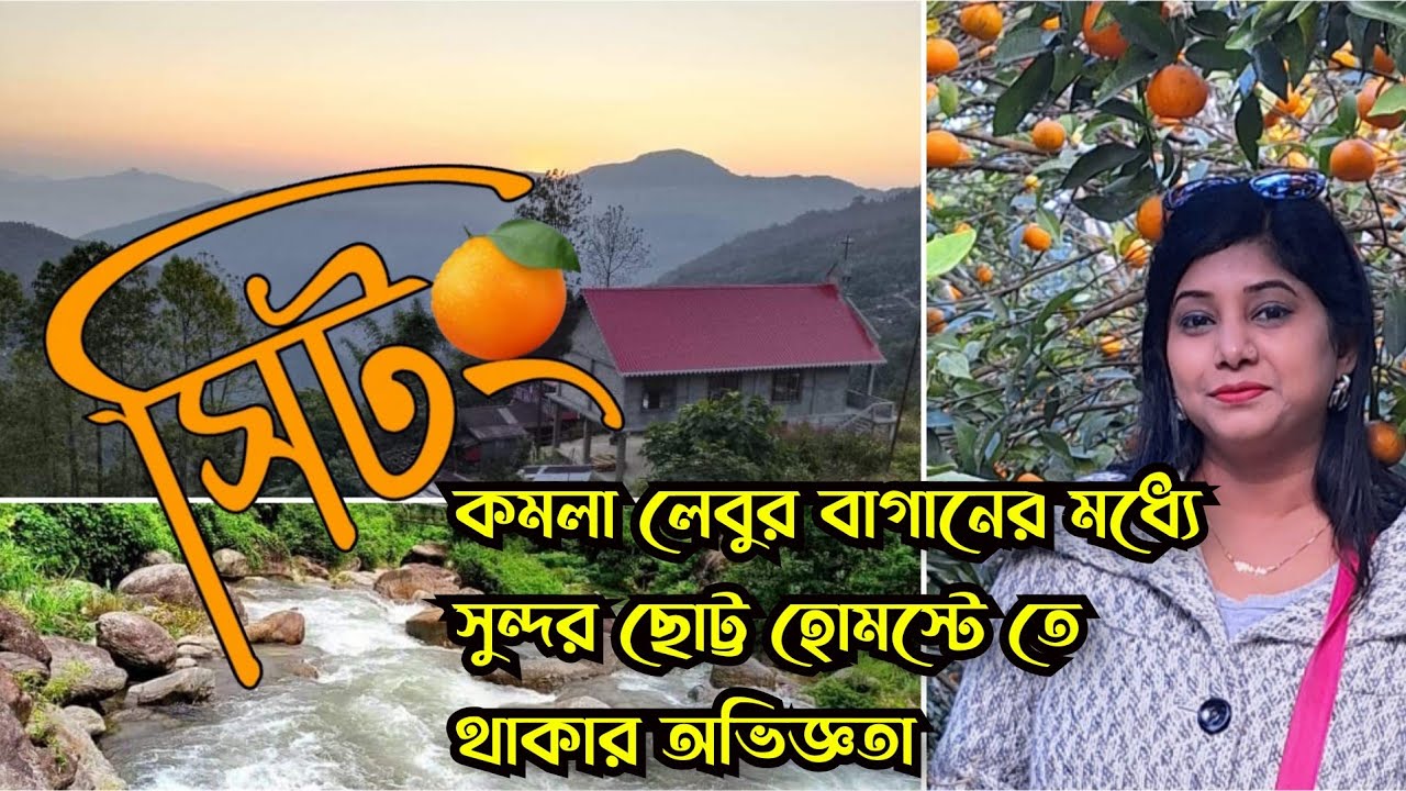 Sittong Tour Guide /Sittong Orange Garden / Sittong Homestay / Sitttong Sightseeing/ সিটং / Sittong