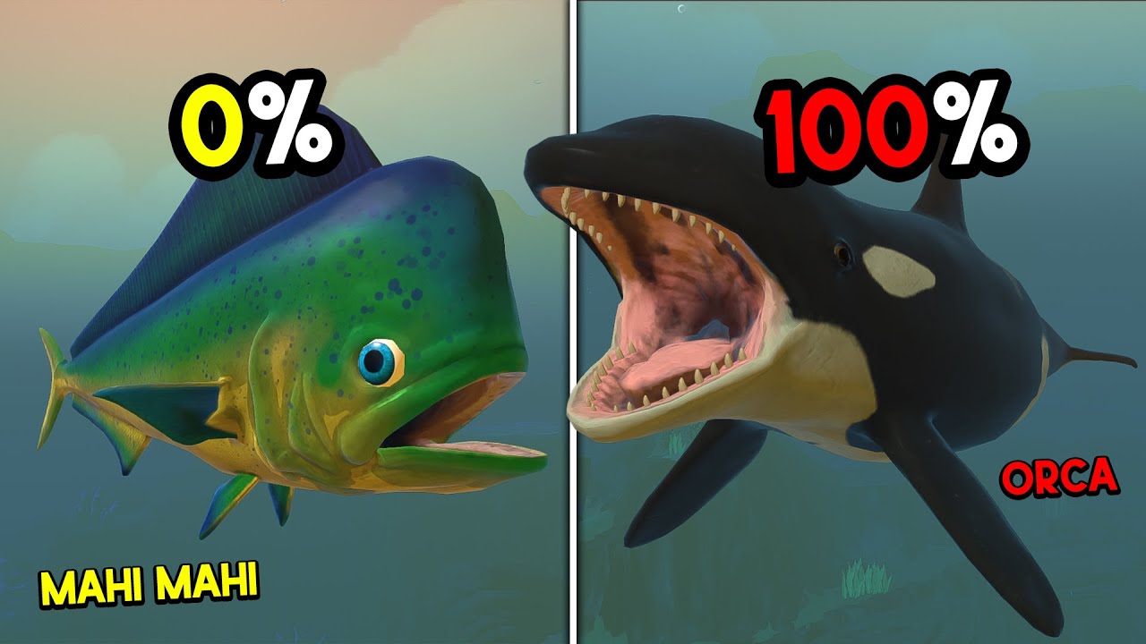 Gue Jadi Ikan MAHI MAHI WARNA UNIK Sampai Dapat PAUS ORCA CERDAS... Feed And Grow Fish