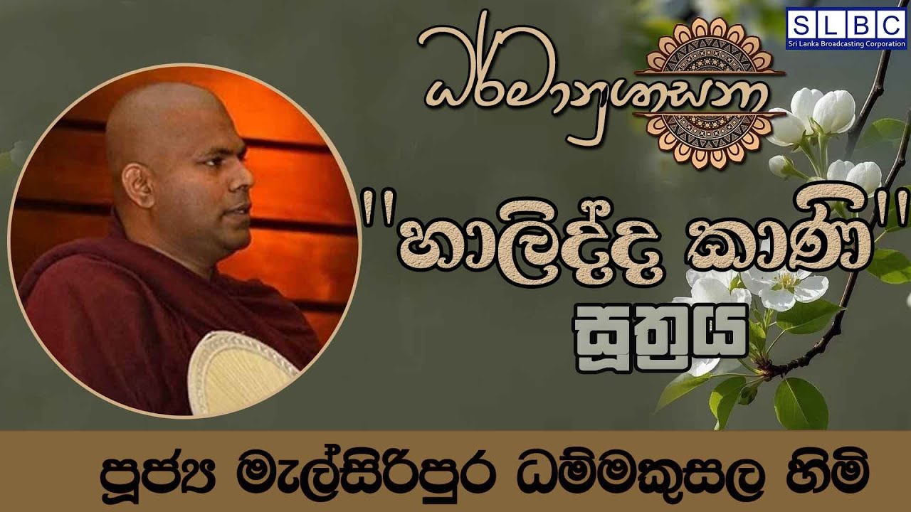 2026 JANUARY 27 | 08 00 PM | හාලිද්ද කාණි සූත්‍රය| පූජ්‍ය මැල්සිරිපුර ධම්මකුසල හිමි