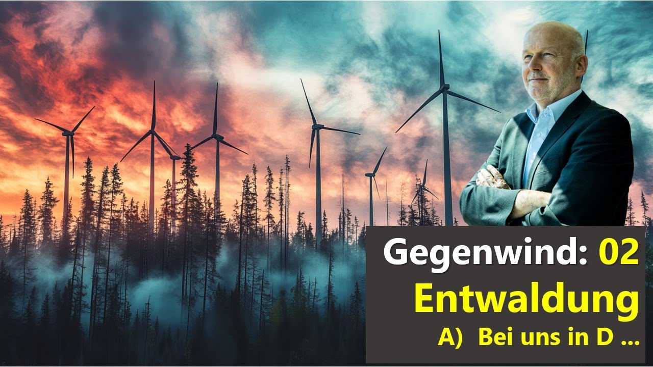Gegenwind: 02 Entwaldung, A) Bei uns in Deutschland