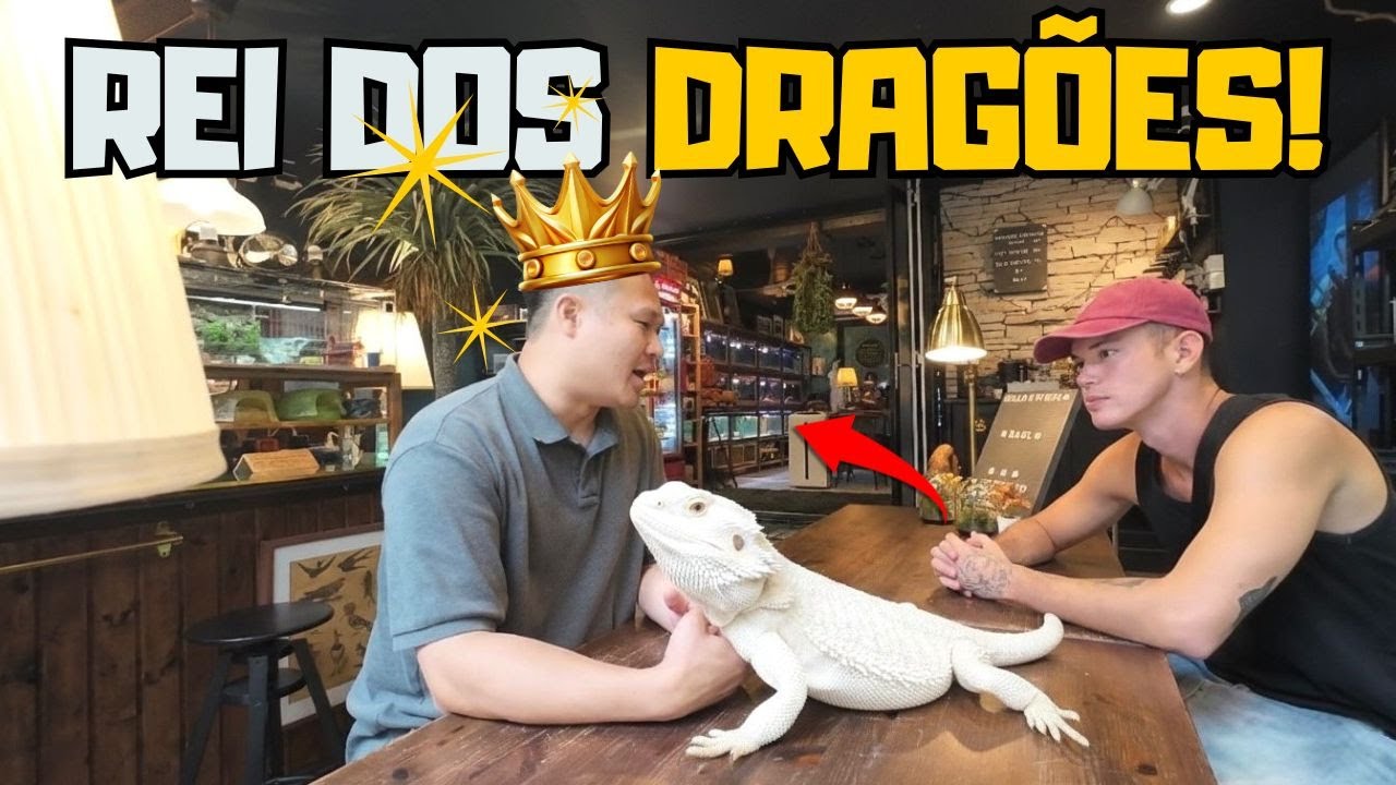 Econtrei o Rei dos Drag&otilde;es Barbudos! ( A FAMOSA POGONA)