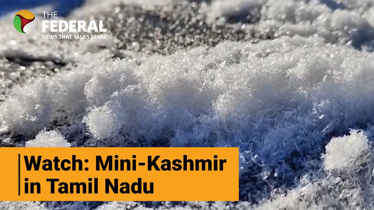 Ooty transforms into Iceland as minimum temperature dips | The Federal