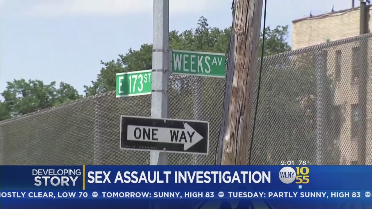Girl, 12, Sexually Assaulted In The Bronx