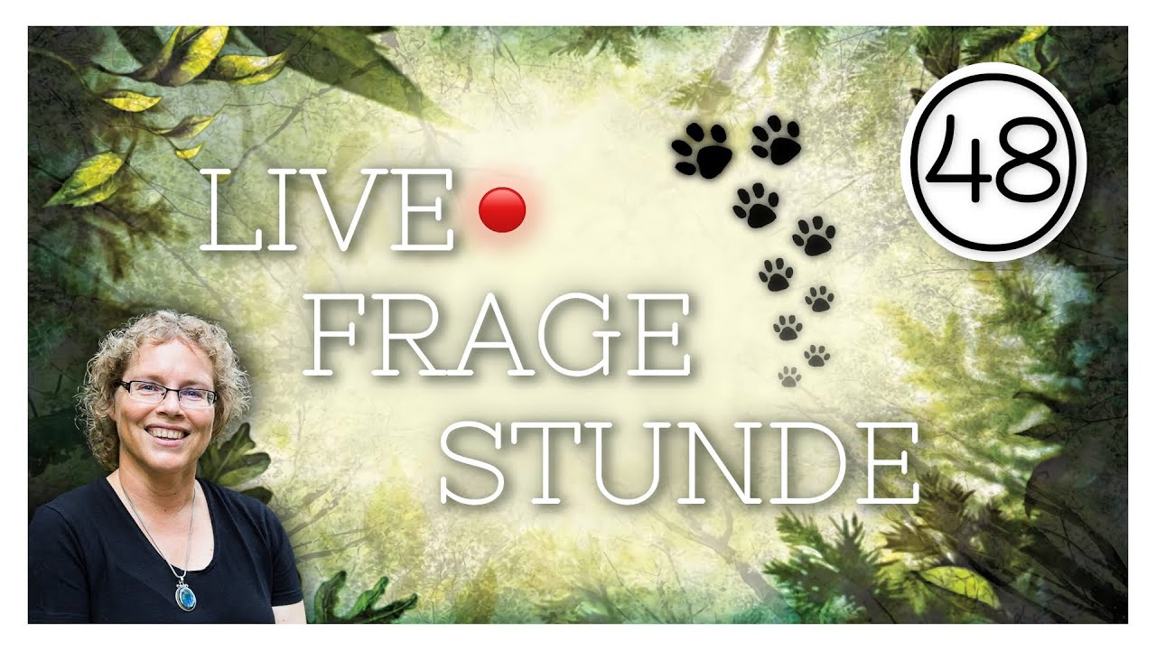 Live-Fragestunde Nr 48 Katja Brandis
