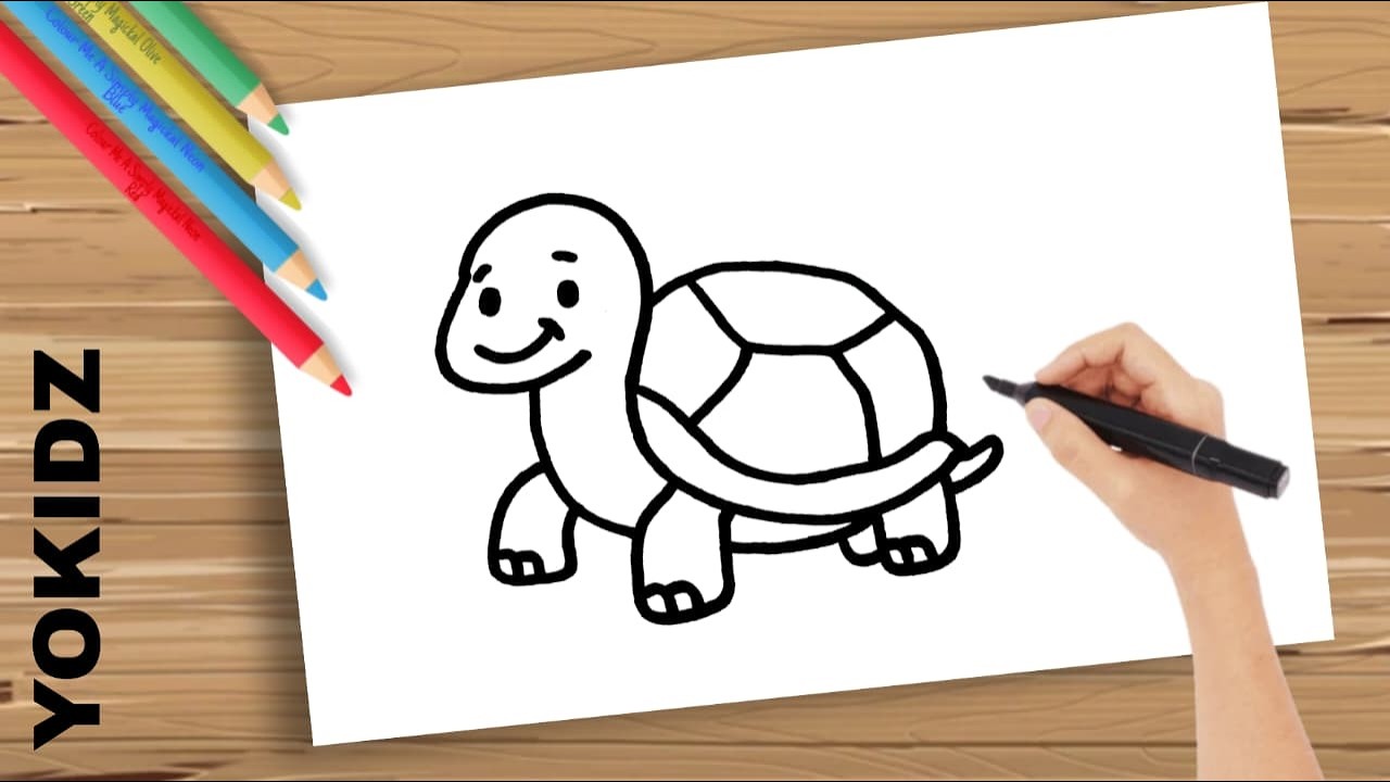 How To Draw A Cute Turtle Easy