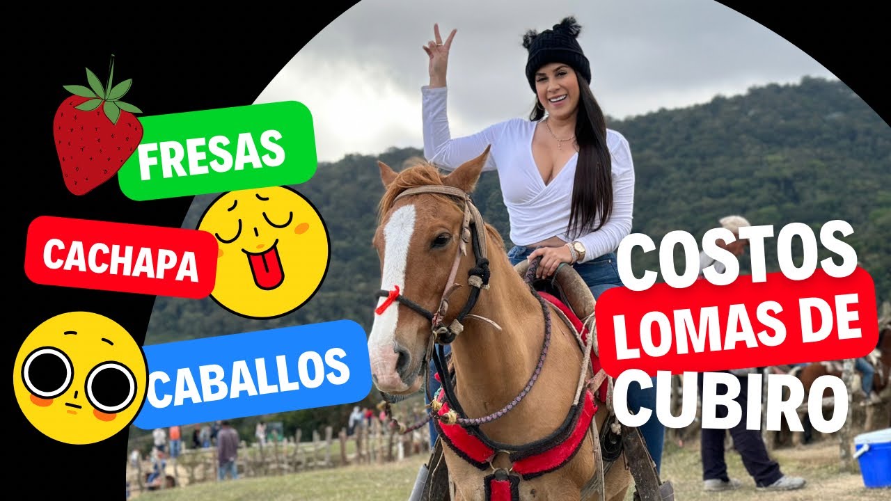 Costos 💵LOMAS DE CUBIRO, Lara Venezuela 🇻🇪2023