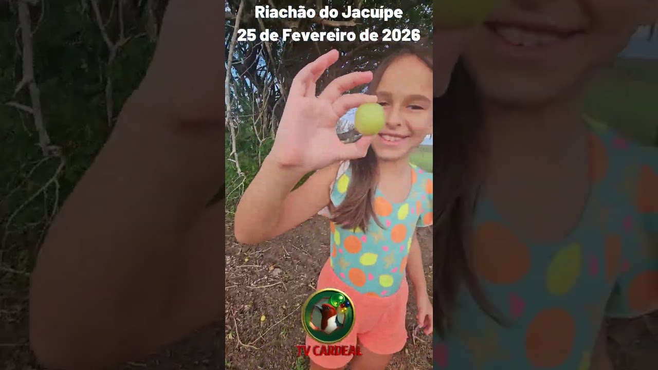 RIACHÃO DO JACUÍPE,  DEPOIS DA CHUVA,