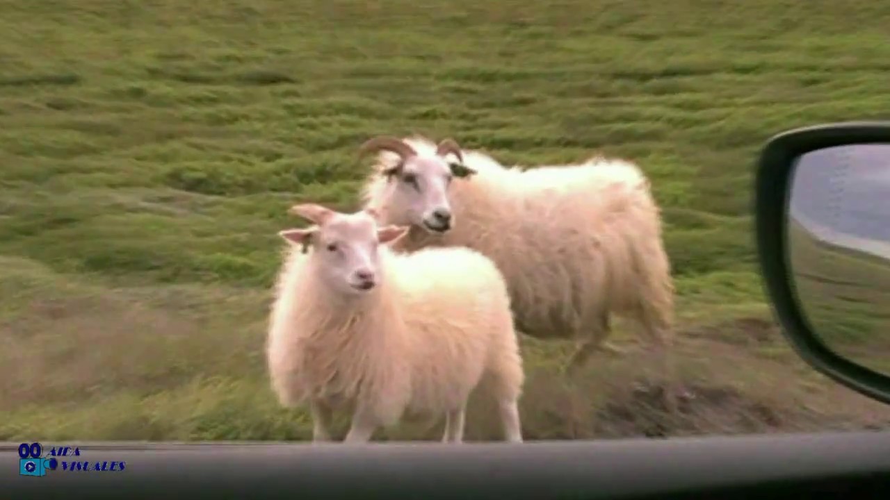 VIAJE A ISLANDIA