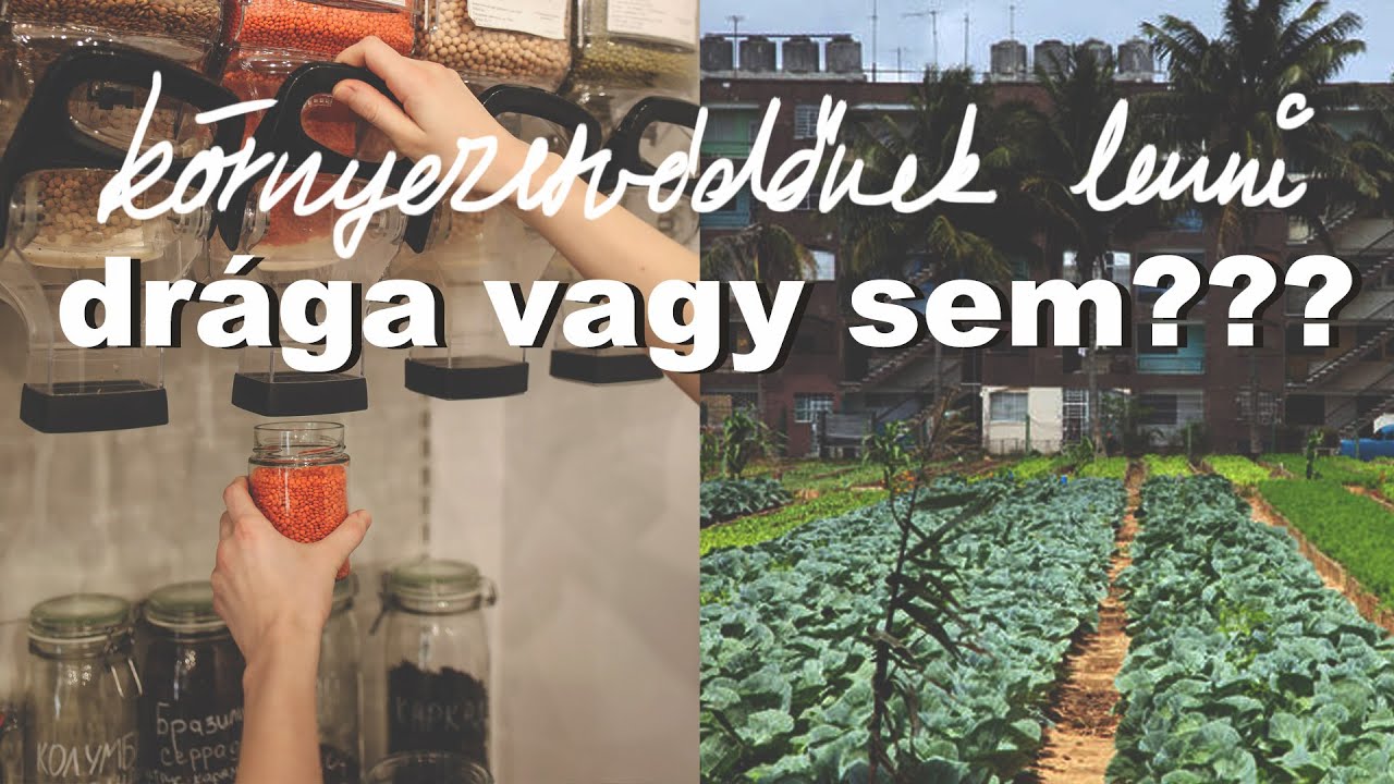 A környezetvédelem a gazdagok kiváltsága? 💸💸💸