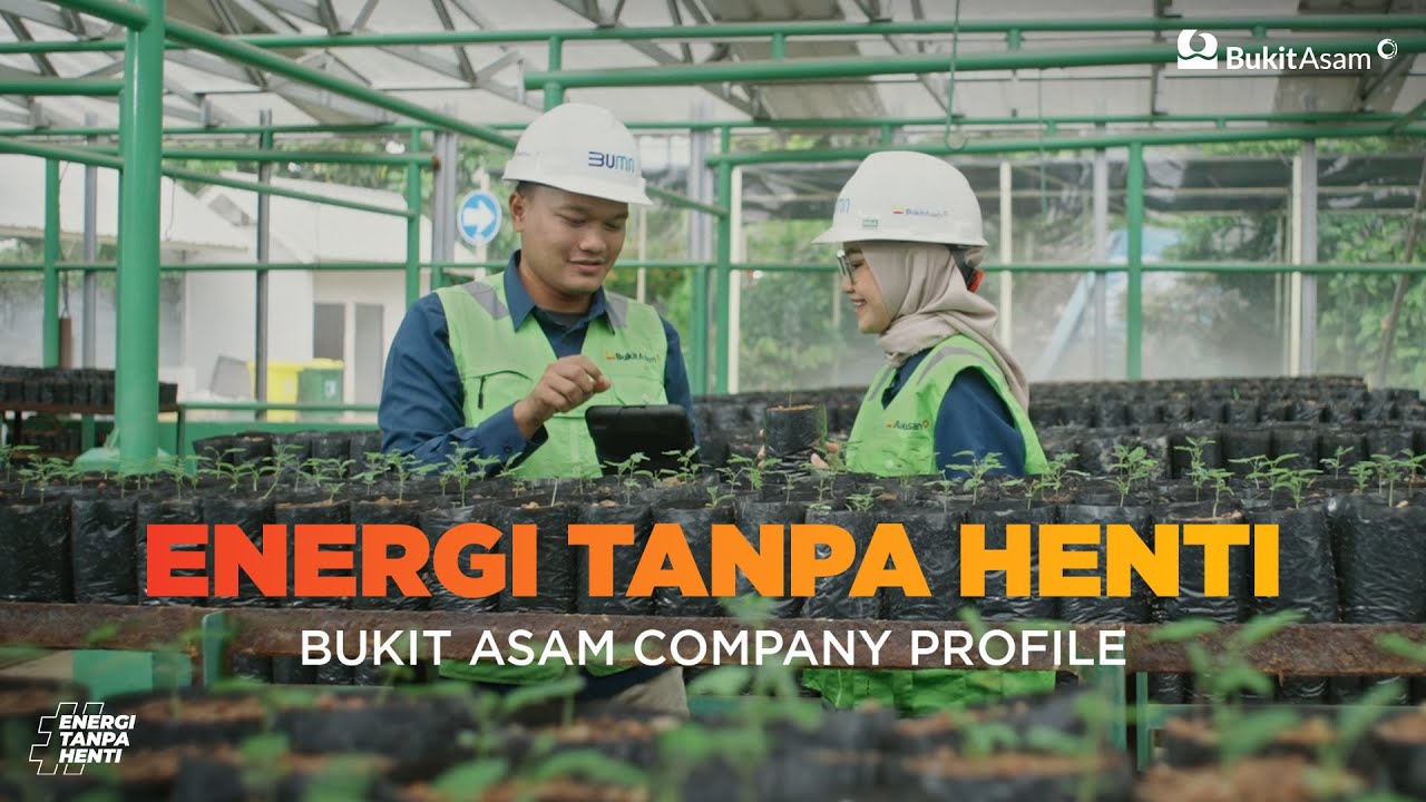 Company Profile PT Bukit Asam Tbk Tahun 2024