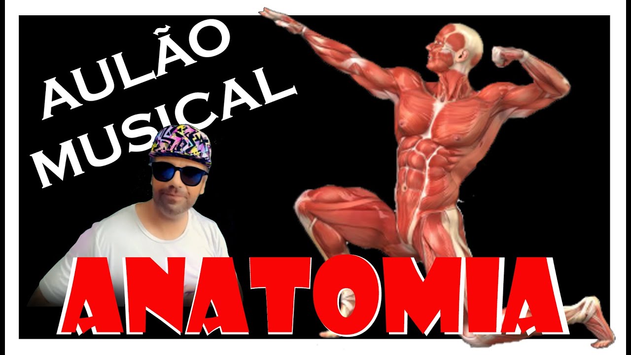 ANATOMIA - introdução a anatomia em formato musical