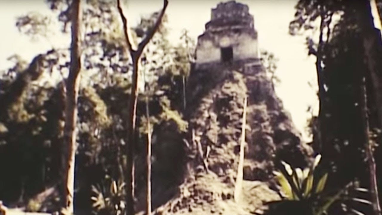 Tikal Project - 1956-1962 Tikal Pyramids