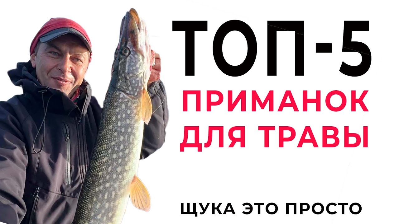 Топ 5 приманок для ловли в траве. Щука на спиннинг
