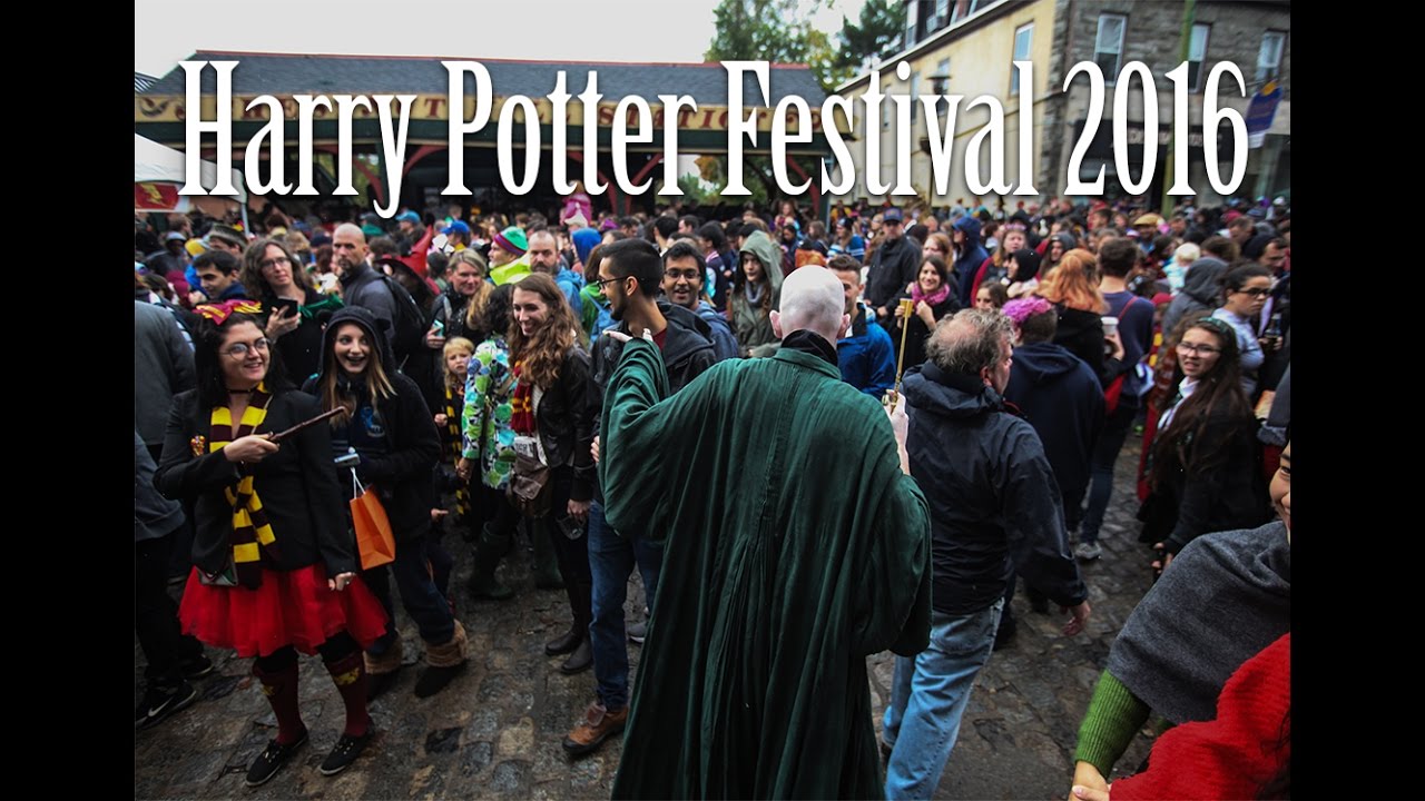 Harry Potter Festival in Chestnut Hill