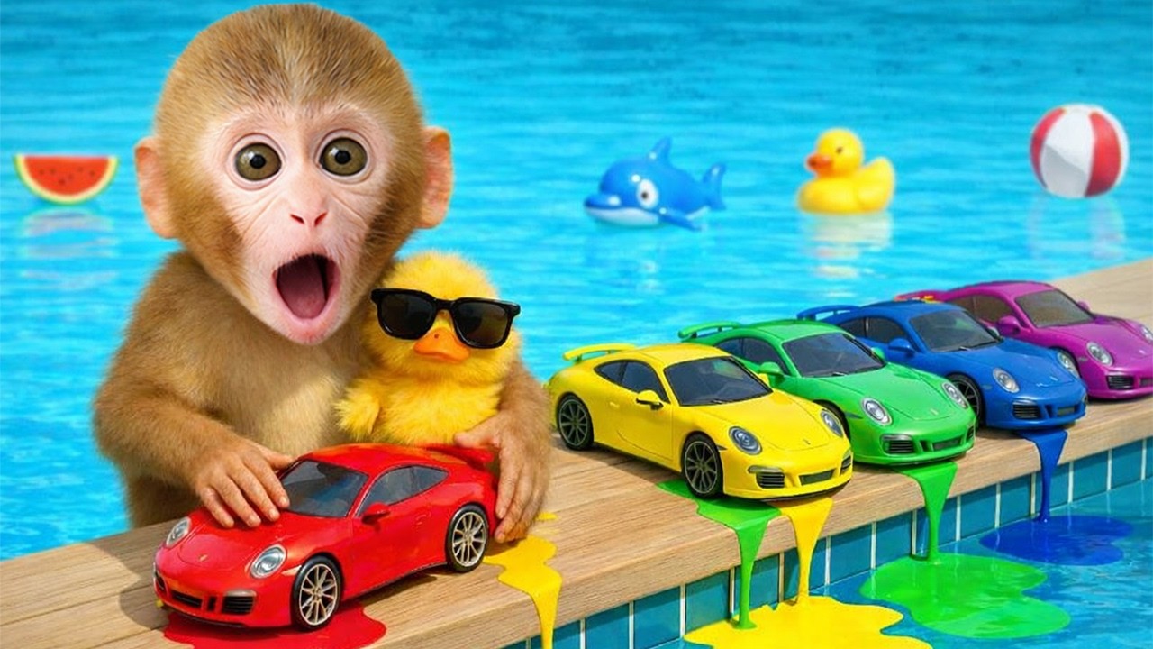 小猴子 Kika 惊呆了！满地彩色小汽车一起出现 🚗🌈