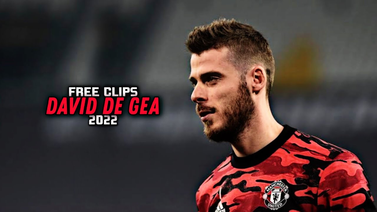 DAVID DE GEA 2022 ● FREE CLIPS / NO WATERMARK ● FREE TO USE ● HD 1080