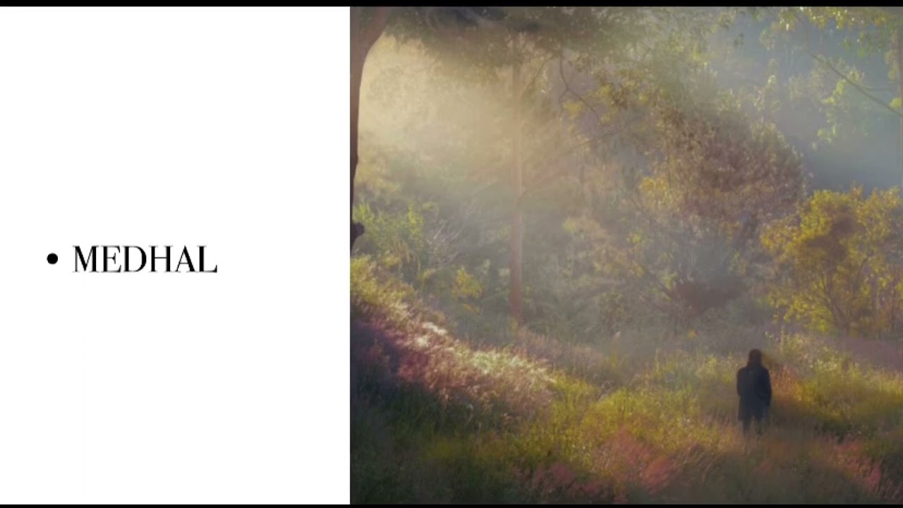 Cinu&ccedil;en Tanrıkorur | Medhal (ŞEHNAZ)