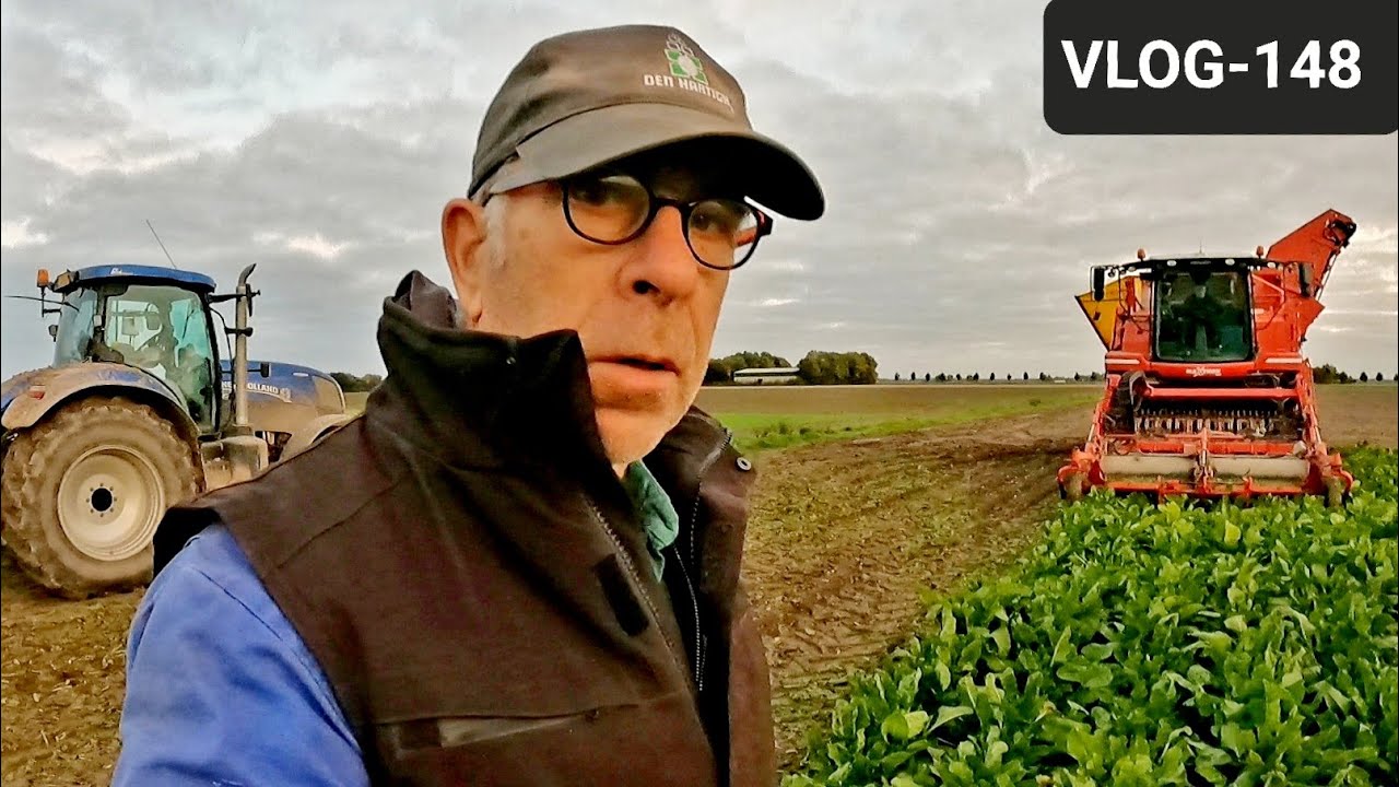 FARMVLOG #148 suikerbieten rooien