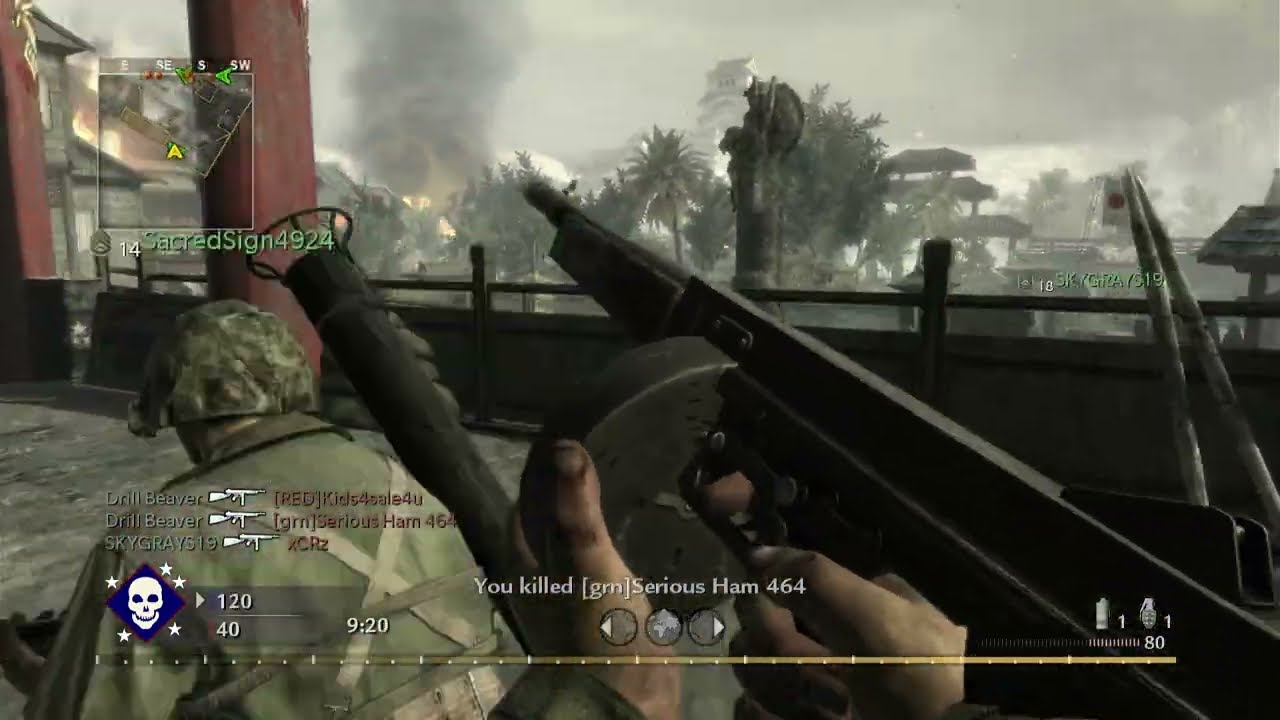WORLD AT WAR MULTIPLAYER IN 2026 - TRIPLE DOGS