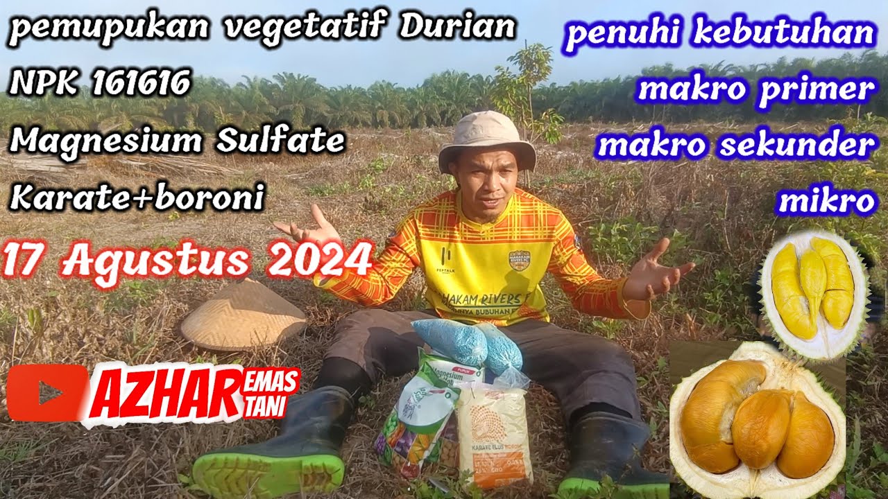 PEMUPUKAN PER 3 BULAN LADANG DUREN KU. 17 AGUSTUS 2024