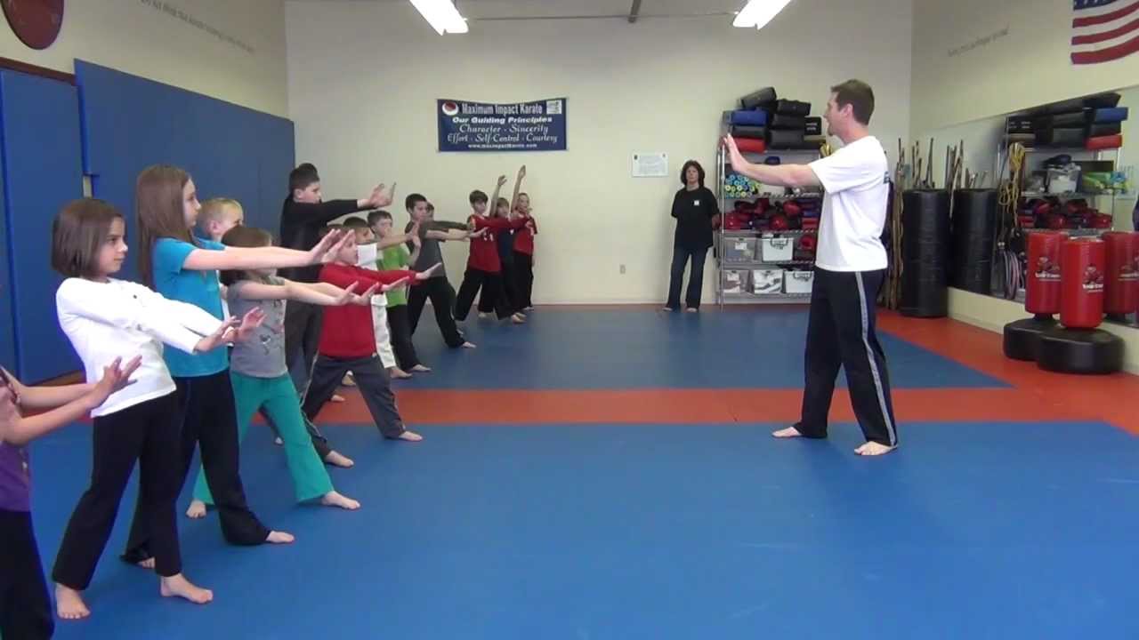 Maximum Impact Karate - FAST Cats Bully Defense Seminar