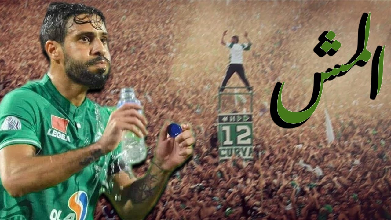 Moutouali Lmoch 2021 🔥🐈 محسن متولي المش