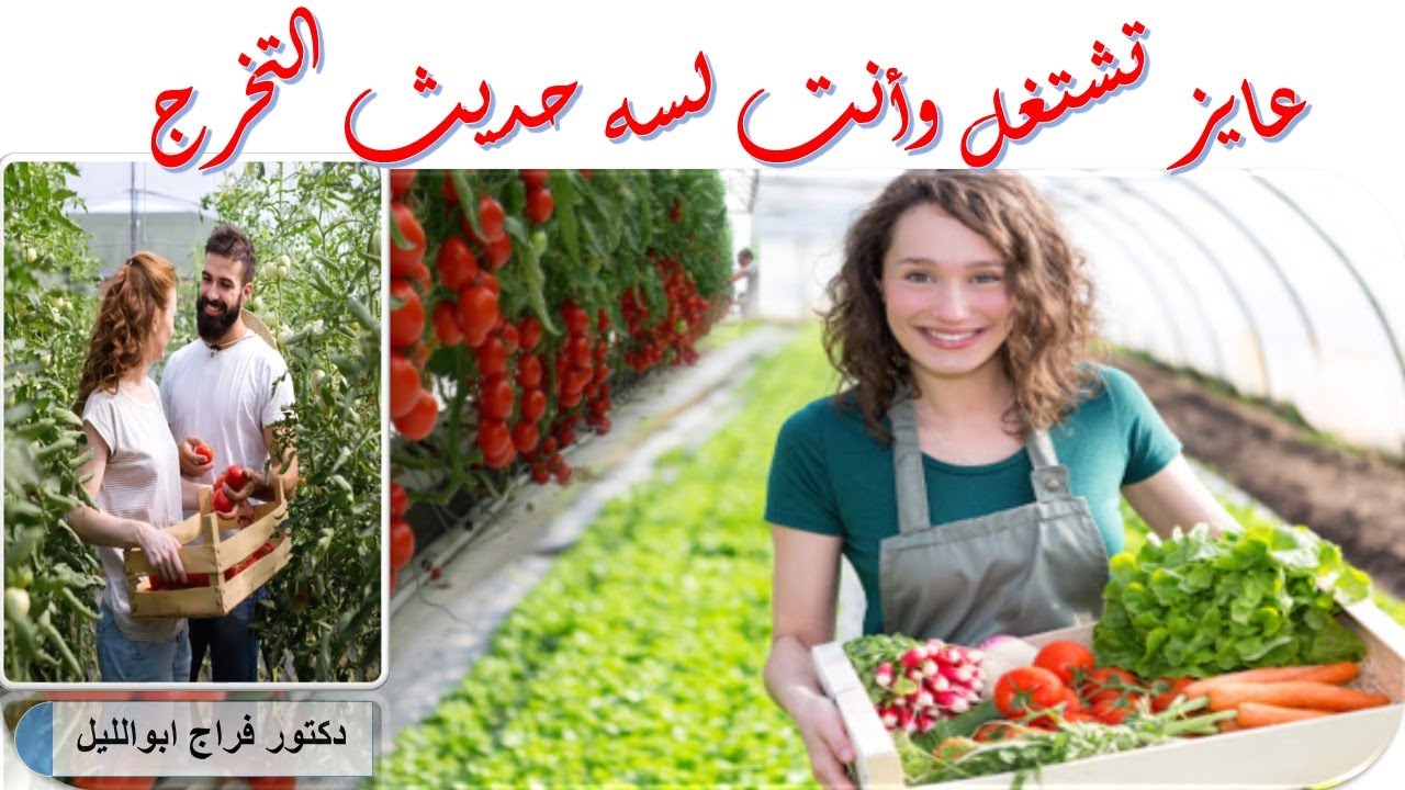 عايز تشتغل وأنت لسه متخرج من كلية زراعة أو معهد تعاون زراعى /How to get a job after graduation ?