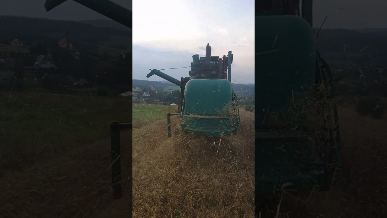 Żniwa Najstarszym Claasem w Polsce ! Claas Matador Standard z 1960 !