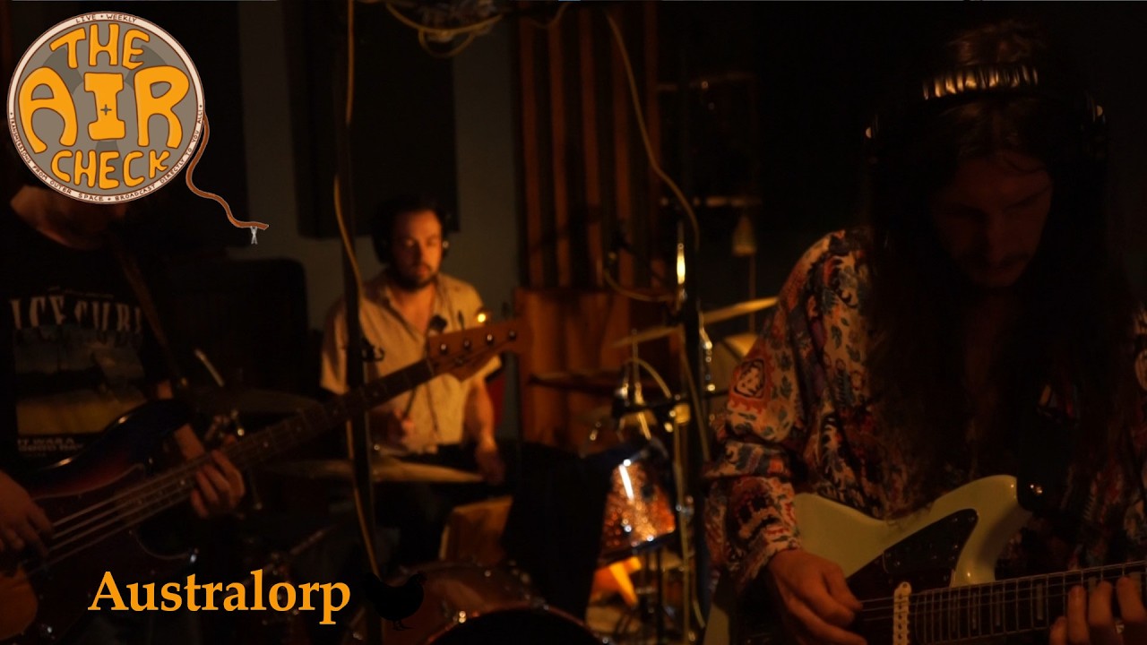 Australorp - Mollie's Hug live on 