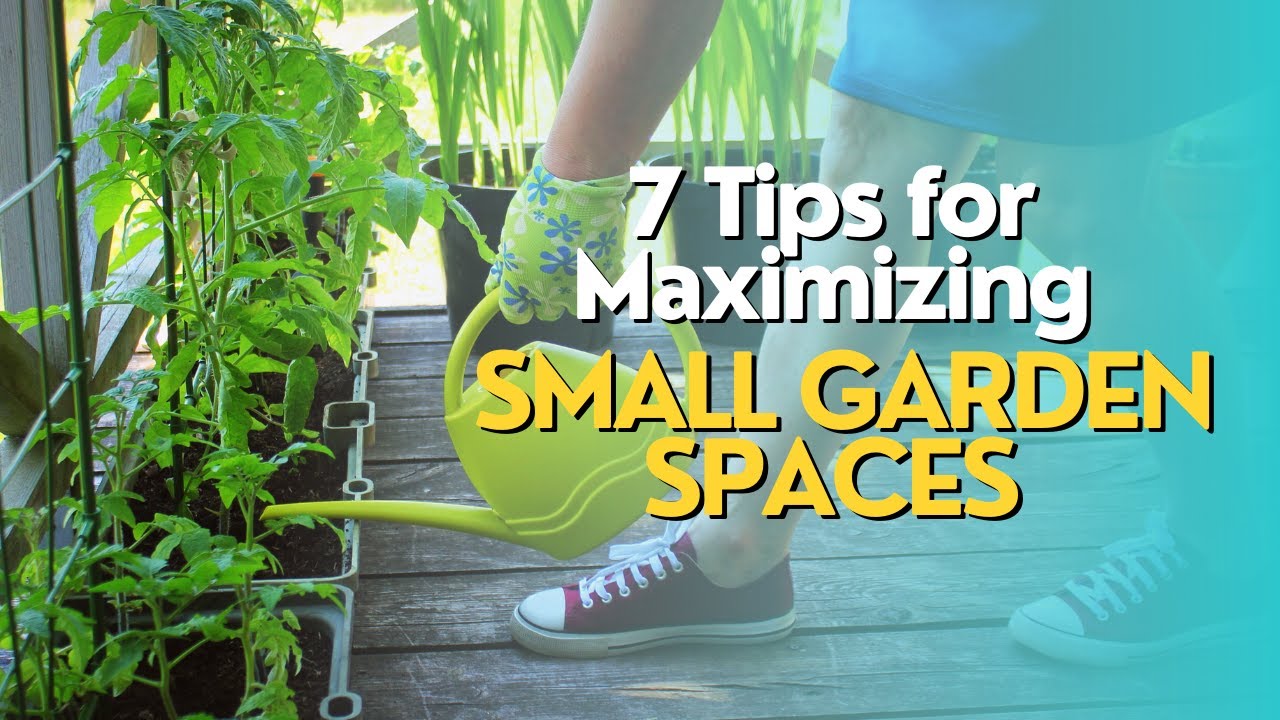 Top 7 Tips for Maximizing Small Garden Spaces