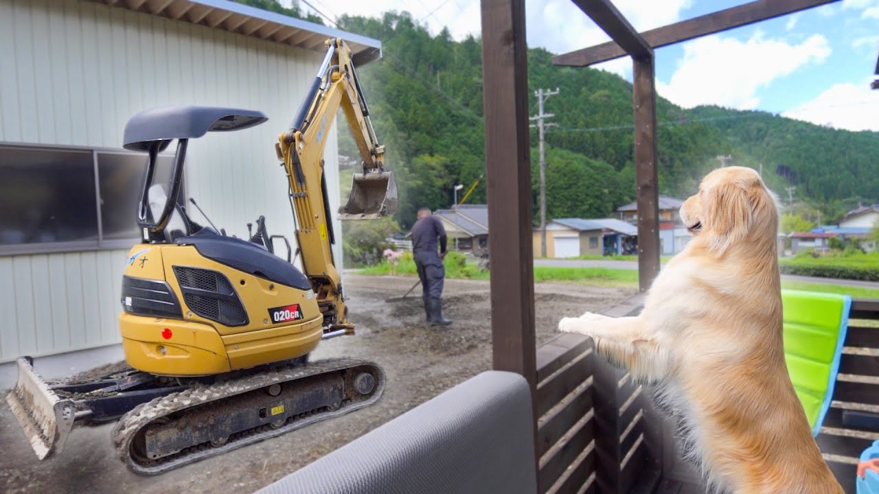 ドッグラン工事を自ら監督する愛犬が可愛すぎるww