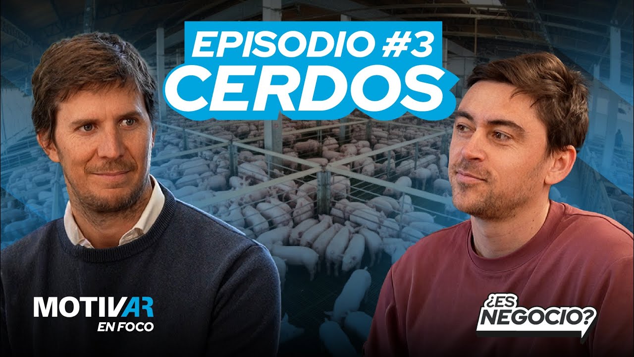 ¿ES NEGOCIO PRODUCIR CARNE DE CERDO EN LA ARGENTINA? | MOTIVAR en Foco