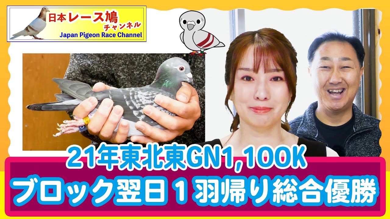 2021年東北東GN1,100kブロック翌日１羽帰り総合優勝・ニュー盛岡競翔連合会 久保康徳鳩舎
