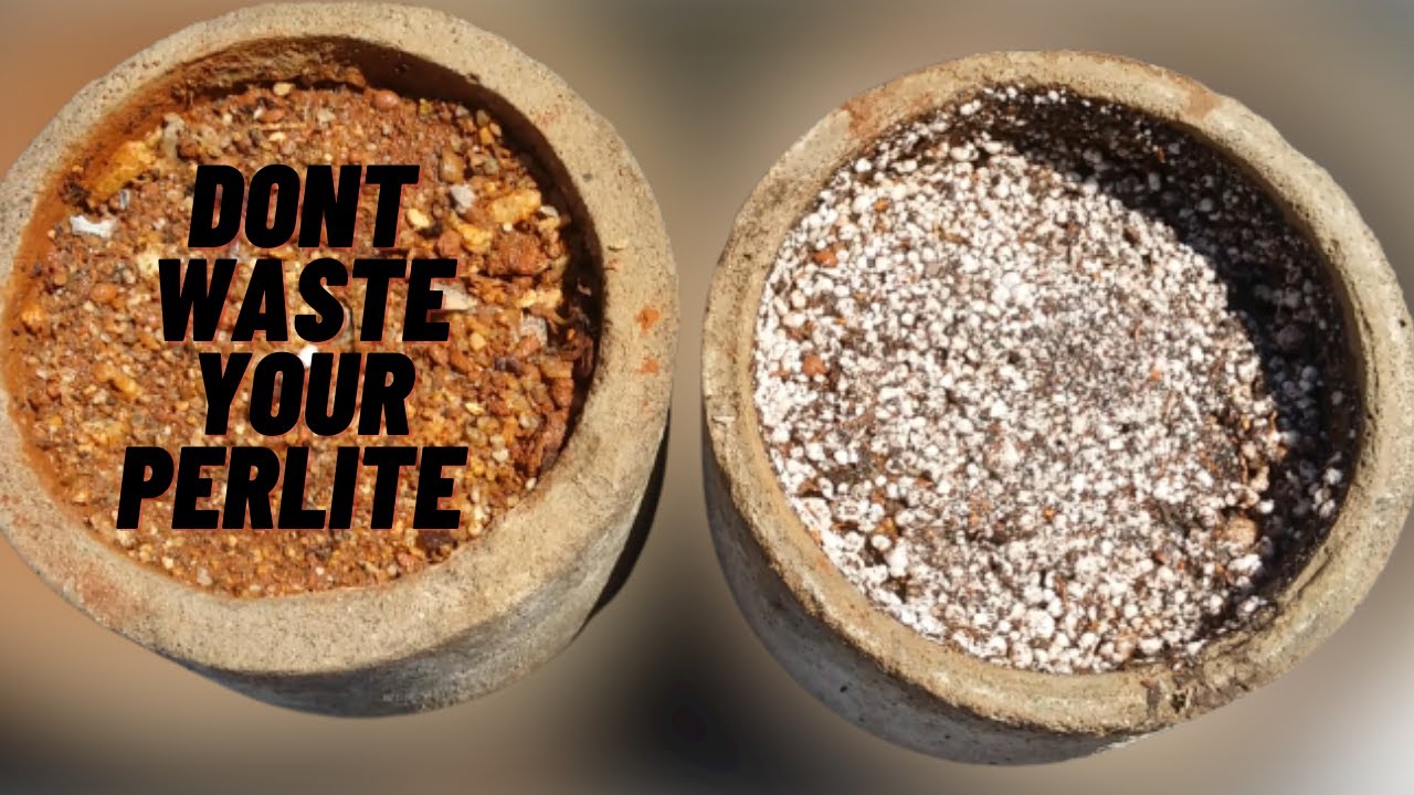 || TRY THIS METHOD WITH PERLITE FOR BEST RESULTS ||